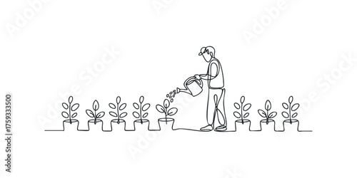 Person watering small plants with watering can