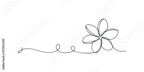 Single line drawing of a plumeria flower with vine