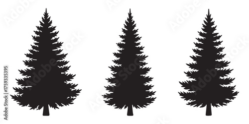 Spruce tree silhouette