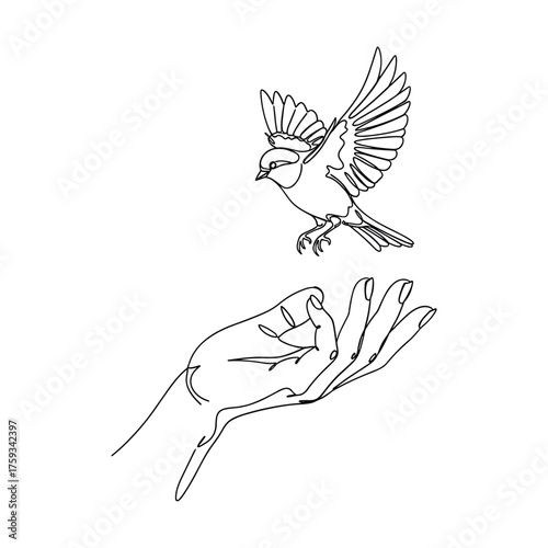 Delicate line drawing of a bird taking flight from an open human hand