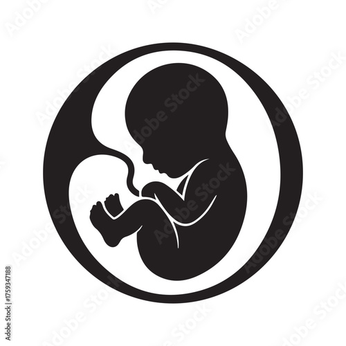 Silhouette of a fetus in a womb isolated on white background  Silhouette of a human fetus in profile isolated on white background