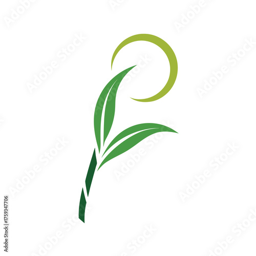 Minimalist sugar cane stalk feather swirl design