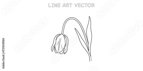 Simple line art of a single drooping flower with leaves