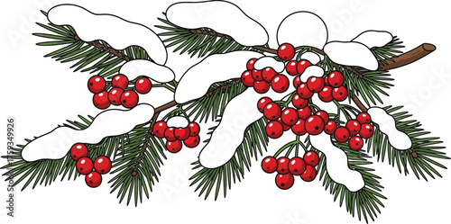 Winter scene of snowcovered pine branches with bright red berries creating a festive holiday season illustration for cards and seasonal designs