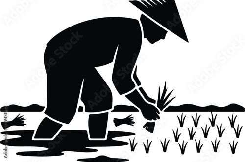 Vector Asian farmer planting rice seedling in paddy field silhouette illustration
