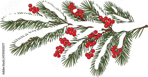 Snowy evergreen branch with bright red berries creating a festive holiday season design element for christmas cards and winter decorations