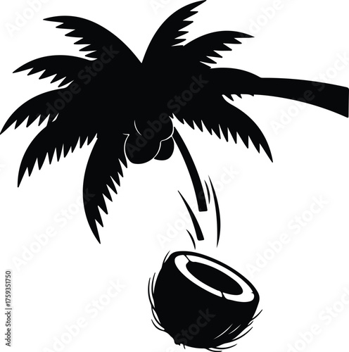 Vector Coconut falling from the palm tree silhouette illustration
