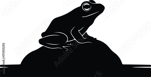 Vector Frog sitting on a rock silhouette illustration