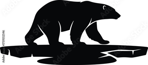 Vector polar bear walking on ice floe silhouette illustration