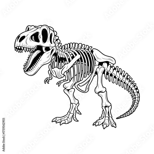 Full Body T-Rex Dinosaur Skeleton Black and White