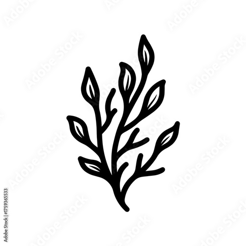 Marine Algae simple Seaweed Icon