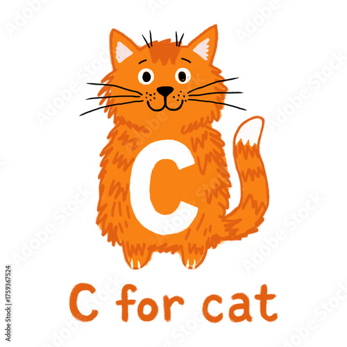 Illustration of hand drawn c for cat isolated on transparent background, alphabet learning