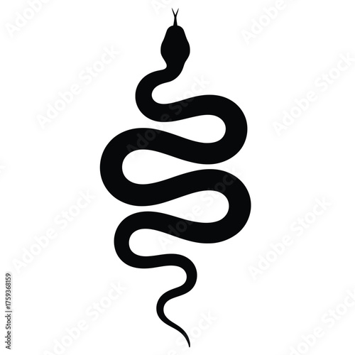 snake vector illustration