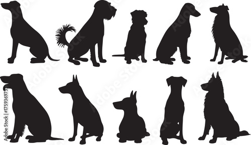 Dogs Silhouette Collection for Pet and Canine Breeds