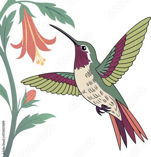 Hummingbird hovering near coral bell flower delicate wings vibrant colors nature scene isolated on transparent background