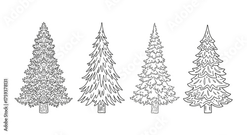 A charming collection of four hand-drawn coniferous trees each with a distinct bushy appearance and a sturdy trunk.