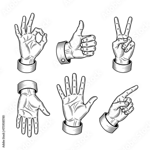 set of hand gestures, Six hand drawn hands in different gestures artwork