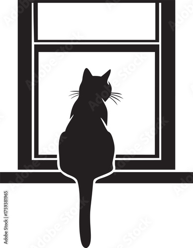 cat looking on windowsill hanging tai