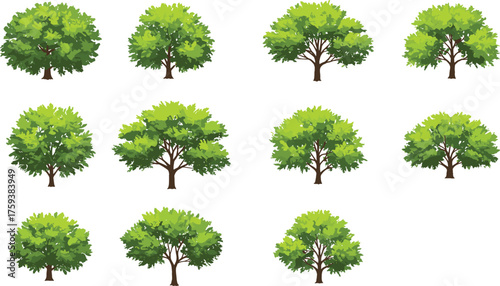 Collection of green trees, forest landscape, eco nature elements, realistic foliage design, summer environment concept, cad drawing flat vector illustration