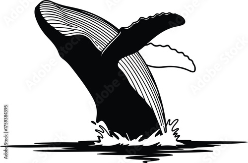 Vector Humpback whale breaching black and white silhouette illustration