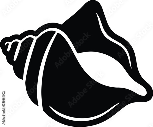 Vector Seashell black and white decorative conch shell silhouette illustration