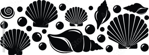 Vector Seashells and pearls black decorative pattern silhouette illustration