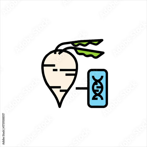 Genetically modified turnip connected to DNA strand represents scientific advancement in food production, showing modern agricultural technology.