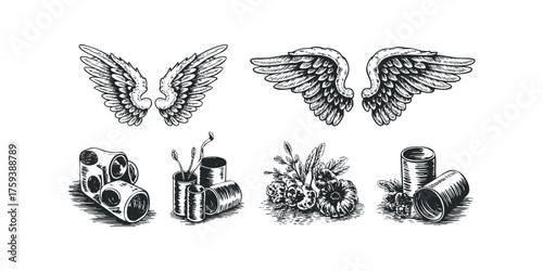 Engraved Wings and Still Life Compositions