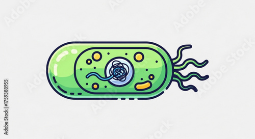 Illustration of a bacterium, a singlecelled microorganism with a simple cell structure and diverse metabolic capabilities