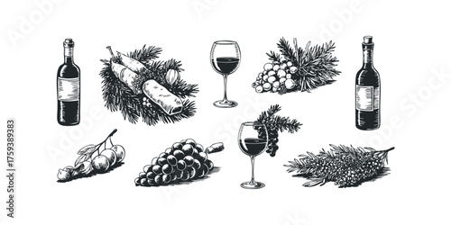 Collection of sketched wine bottles, glasses, and grapes