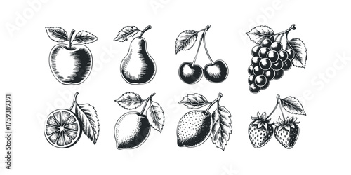 Vintage fruit collection featuring apple, pear, cherries, grapes, lemon, and strawberry