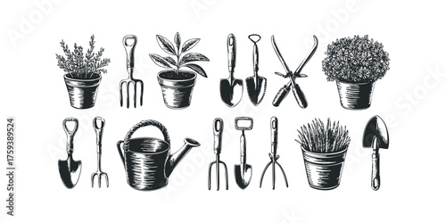 Collection of vintage garden tools and potted plants