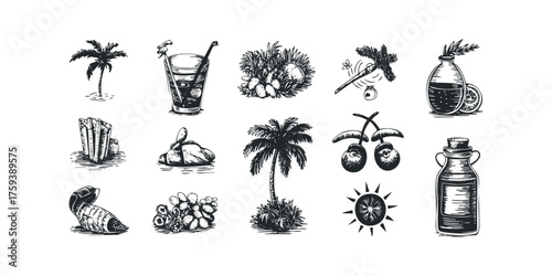 Tropical collection of fruit, drinks, and plants