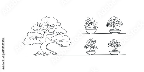 Continuous line drawing collection of five potted bonsai trees