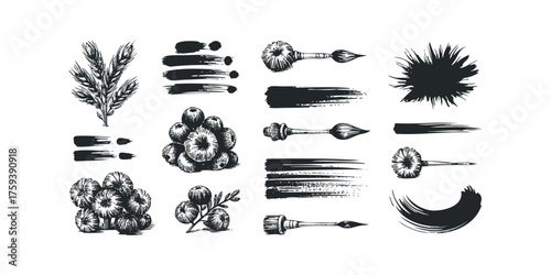 Black Ink Elements Wheat Berries Brushes and Strokes