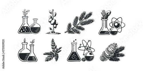 Scientific research elements plant growth and atoms