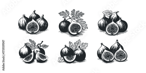 Six linocut style depictions of fresh figs and leaves