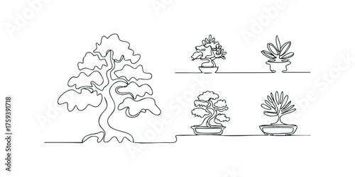 Collection of Bonsai Trees Continuous Line Drawing