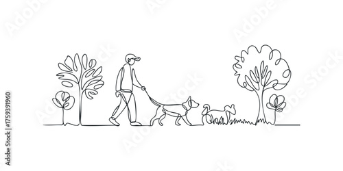 Man walking dogs outdoors line drawing