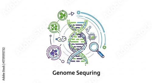 Genome sequencing concept, dna structure, genetic research, biotechnology, vector illustration