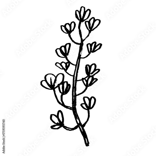Hand drawn flower drawing. Doodle sketch vector illustration.