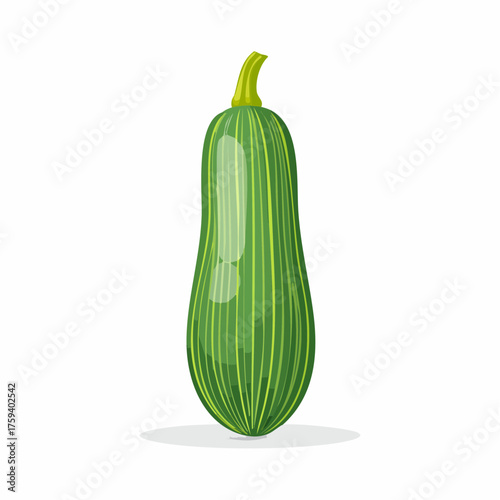 A single green zucchini vegetable isolated on a white background.