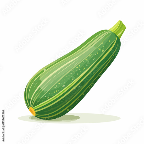 A single green zucchini with yellow stripes on a white background.