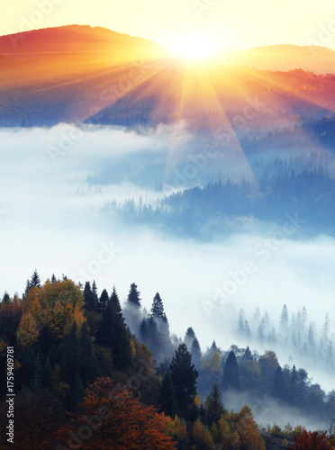 amazing autumn morning landscape, wonderful nature scene, Carpathian mountains, Lviv region, Ukraine, Europe...exclusive - this image is sell only on Adobe stock	