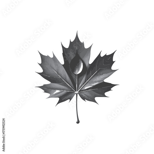Monochromatic maple leaf with water droplet symbolizing autumn nature and seasonal change reflection symbolism vector