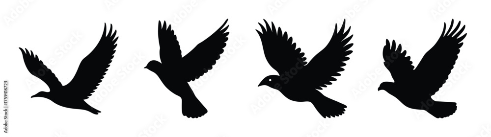 Obraz premium Dynamic sequence of a black bird in flight capturing motion and graceful wing movement