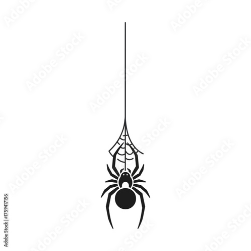 Eerie spider descending from web, ideal for Halloween designs, spooky invitations, and creepy decorations for parties and seasonal promotions