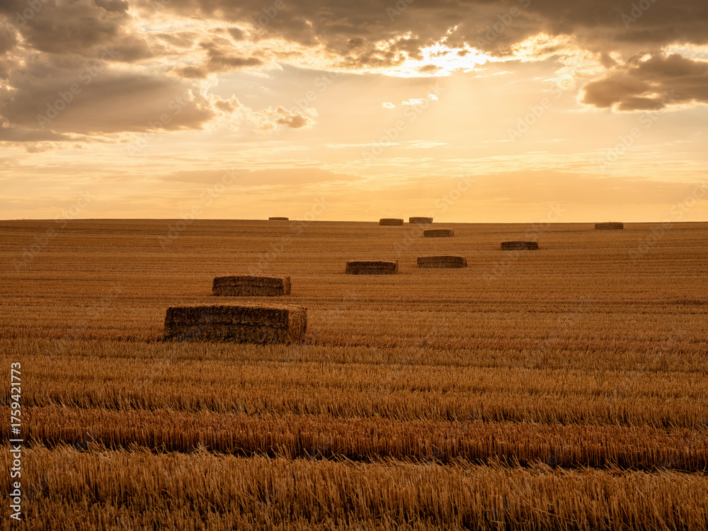 Fototapeta premium Hay bales resting on field after harvest at sunset