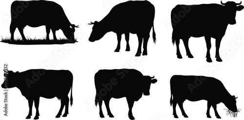 Cow silhouette vector, grazing and standing poses, black farm animal icon, livestock feeding motion, cad drawing flat vector illustration