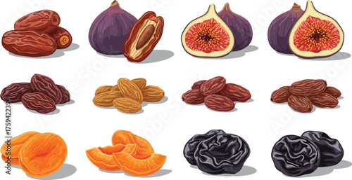 Vector art of assortment of dried fruits including dates, figs, raisins, and prunes